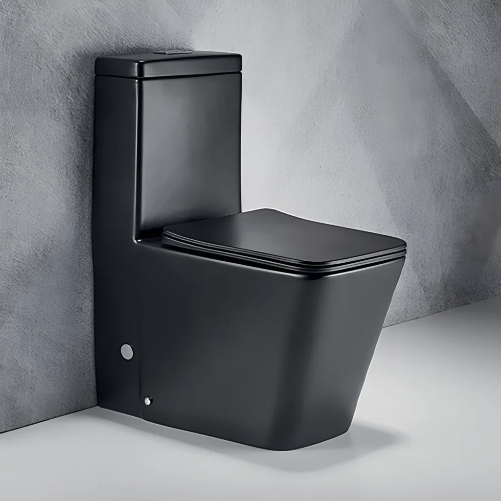 Luxury toilet in Uganda