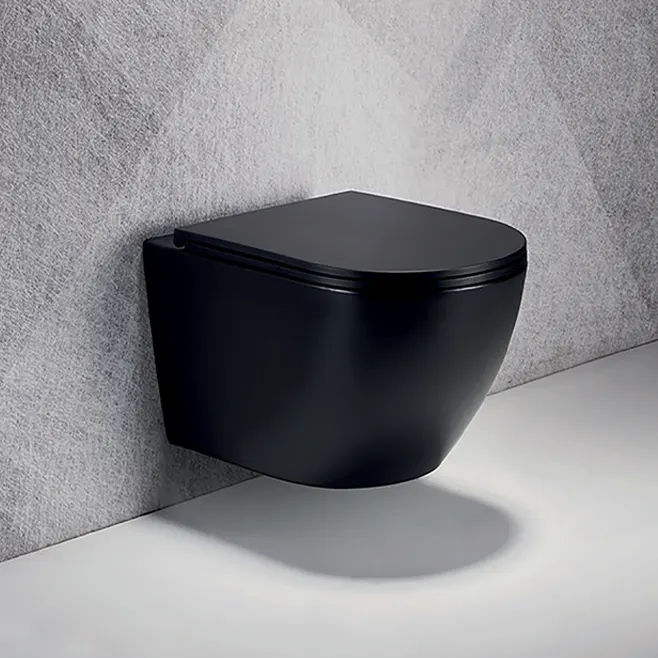 Wall-hung concealed tank toilet in Uganda