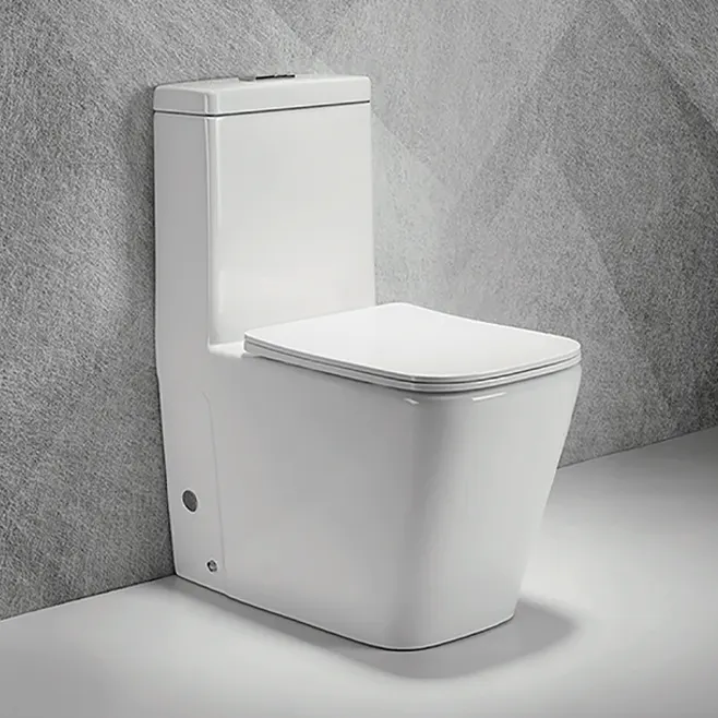 Smart toilet in Uganda