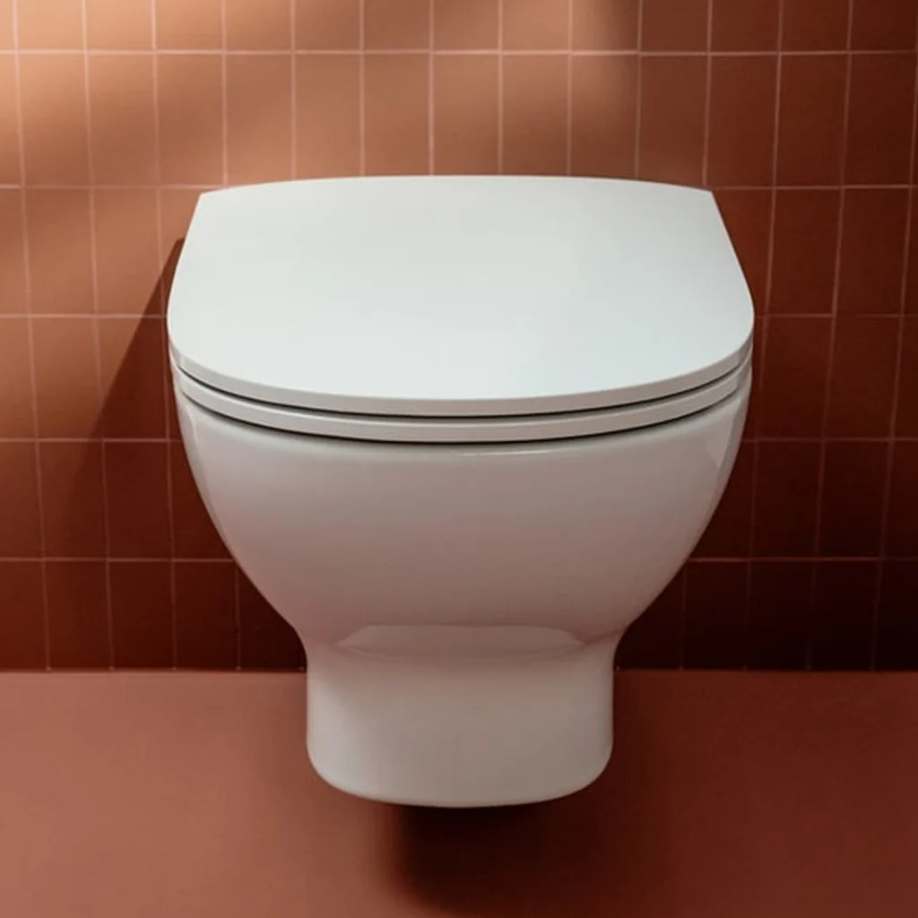 Two-piece toilet in Uganda