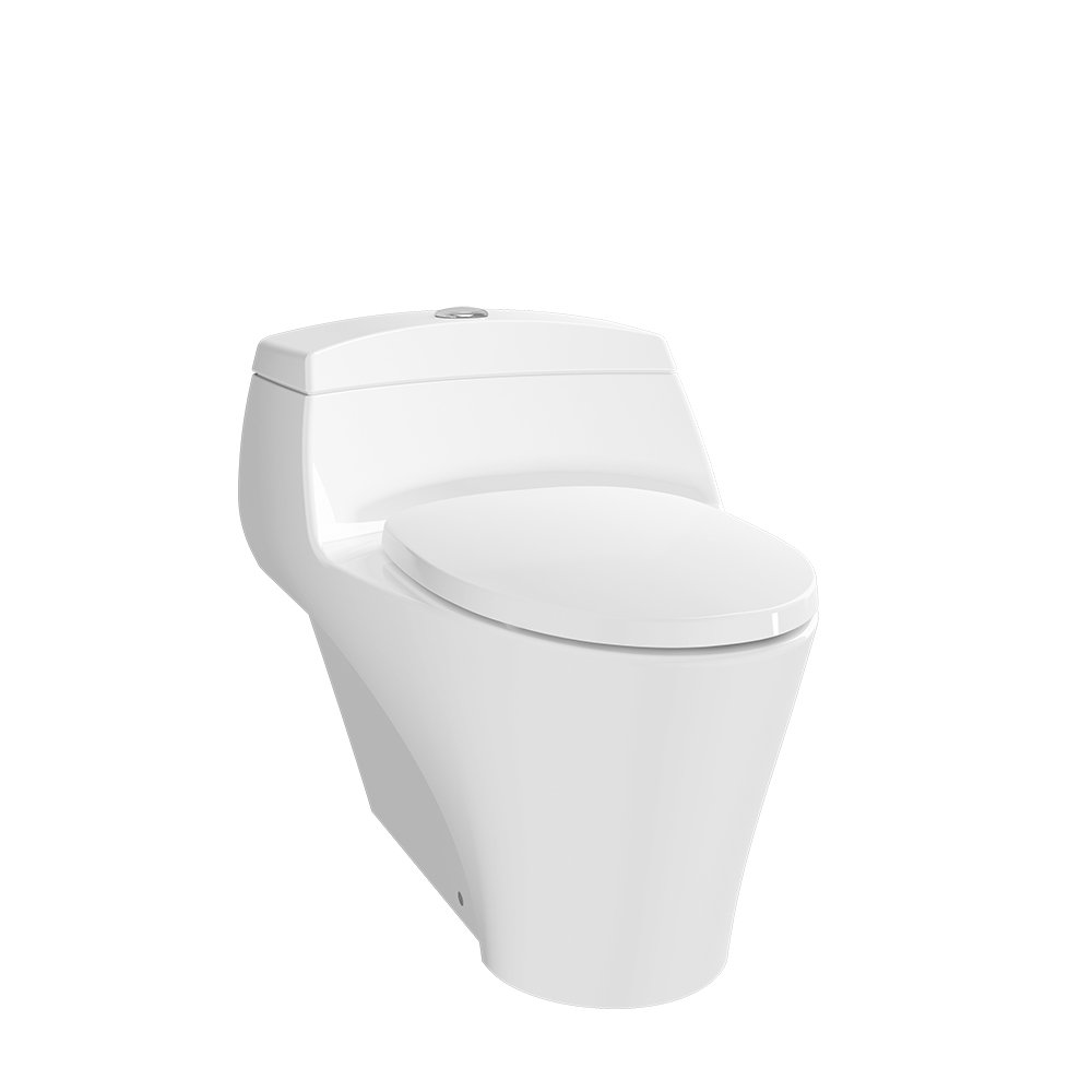 Wall-hung toilet in Uganda